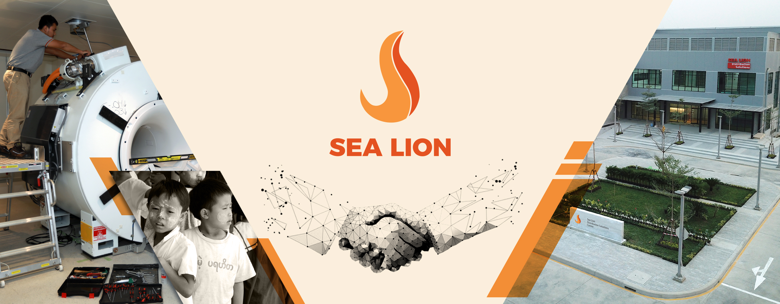 Sea Lion
